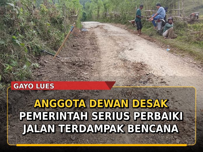 Anggota Dewan Gayo Lues Desak Pemerintah Aceh dan Kabupaten Serius Perbaiki Jalan Terdampak Bencana